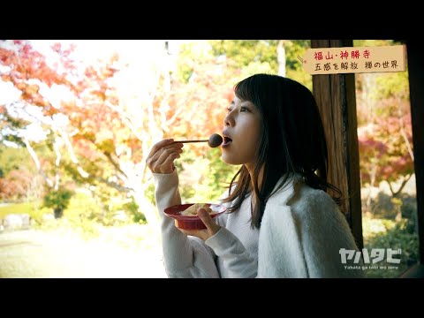 【八幡美咲アナが行く】福山神勝寺 禅を体験