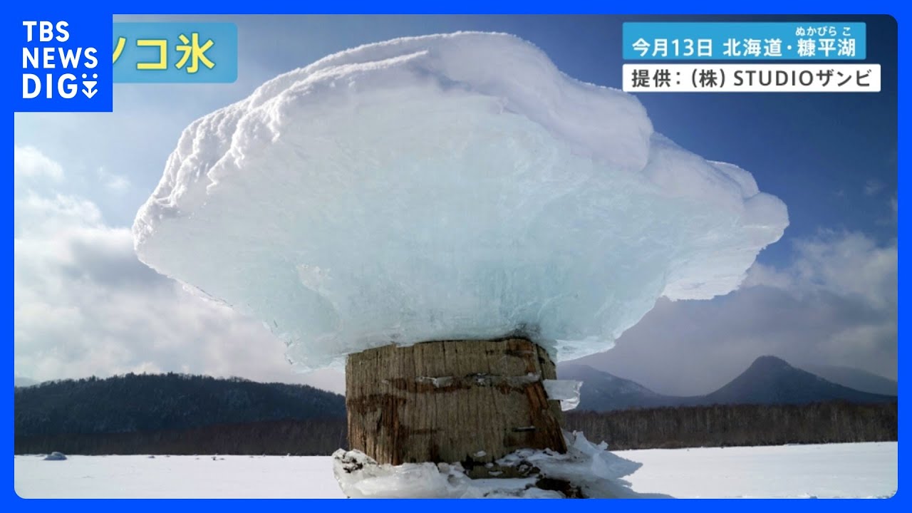 “氷の花”に“氷の宝石”　國本気象予報士はクリオネを捕獲!?寒いからこそ起きる神秘的な光景｜TBS NEWS DIG