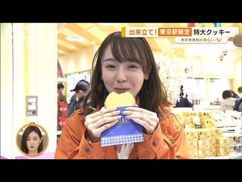 「東京おかしランド」リニューアル…“東京駅限定”特別メニュー集結【あらいーな】(2023年1月27日)