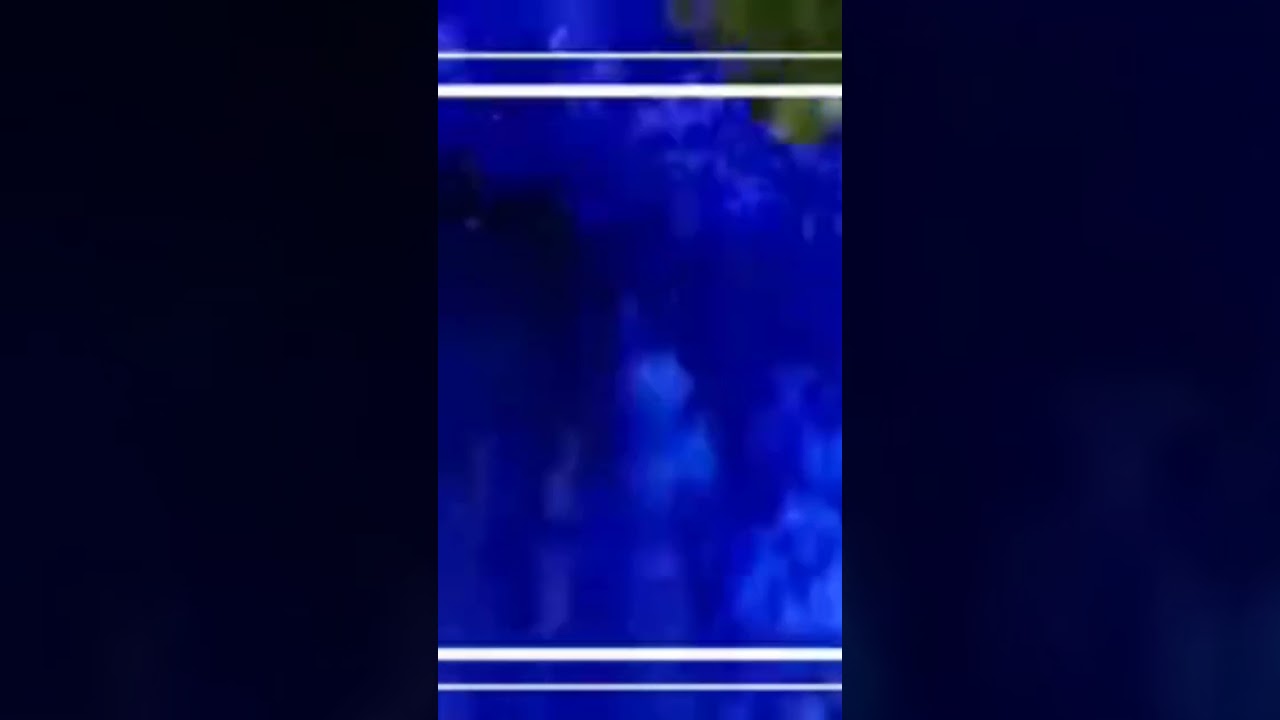 青ペンキまみれ