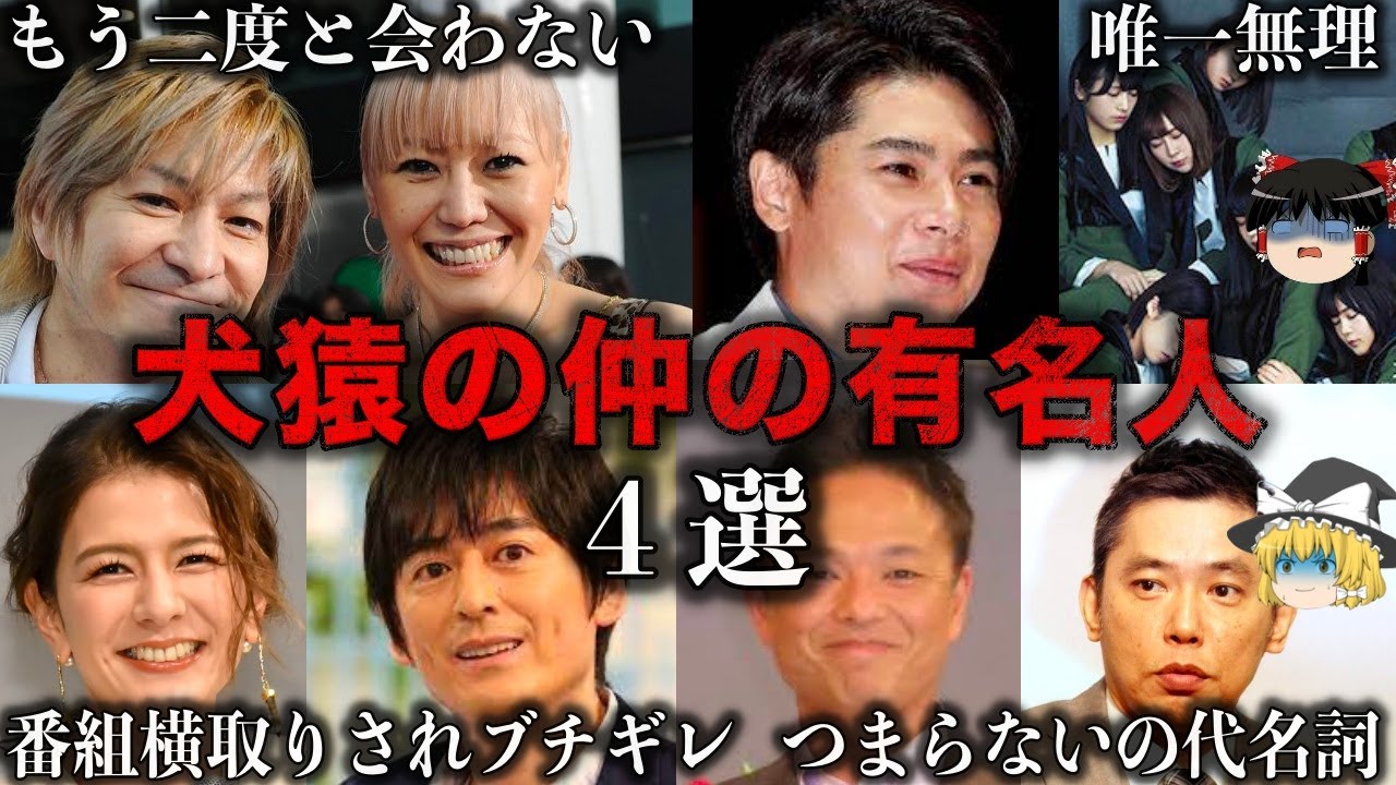 【ゆっくり解説】共演NGの不仲を告白した有名人4選をゆっくり解説