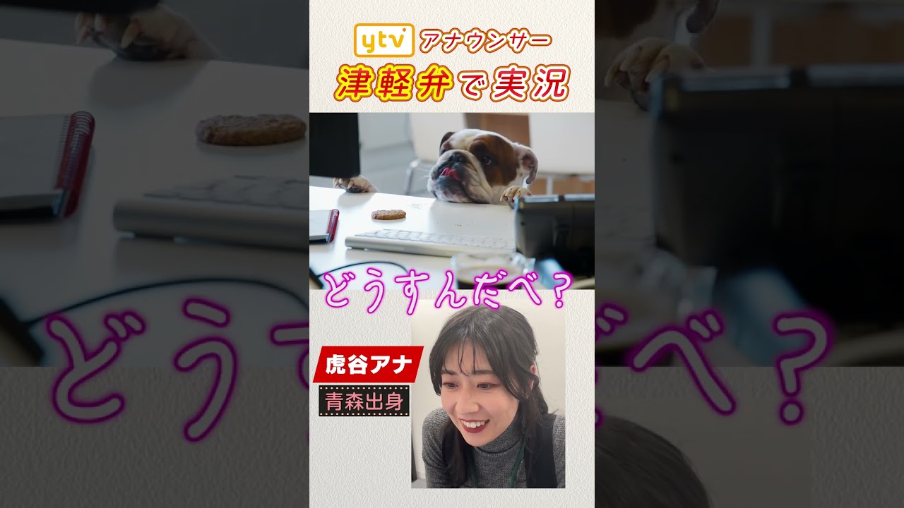 【津軽弁】初見で可愛い動物の動きを実況してみた。   #shorts