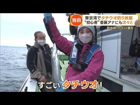 【独自】東京湾で「タチウオ」釣り放題　巨大「ドラゴン」も…気候変動で“急増”【もっと知りたい！】(2023年2月2日)
