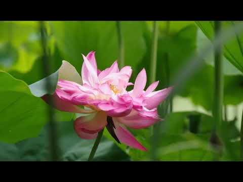 さようなら、毎日放送の高井美紀アナウンサー