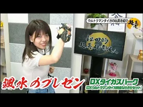 颯水のプレゼン 20190306《DXタイガスパーク》