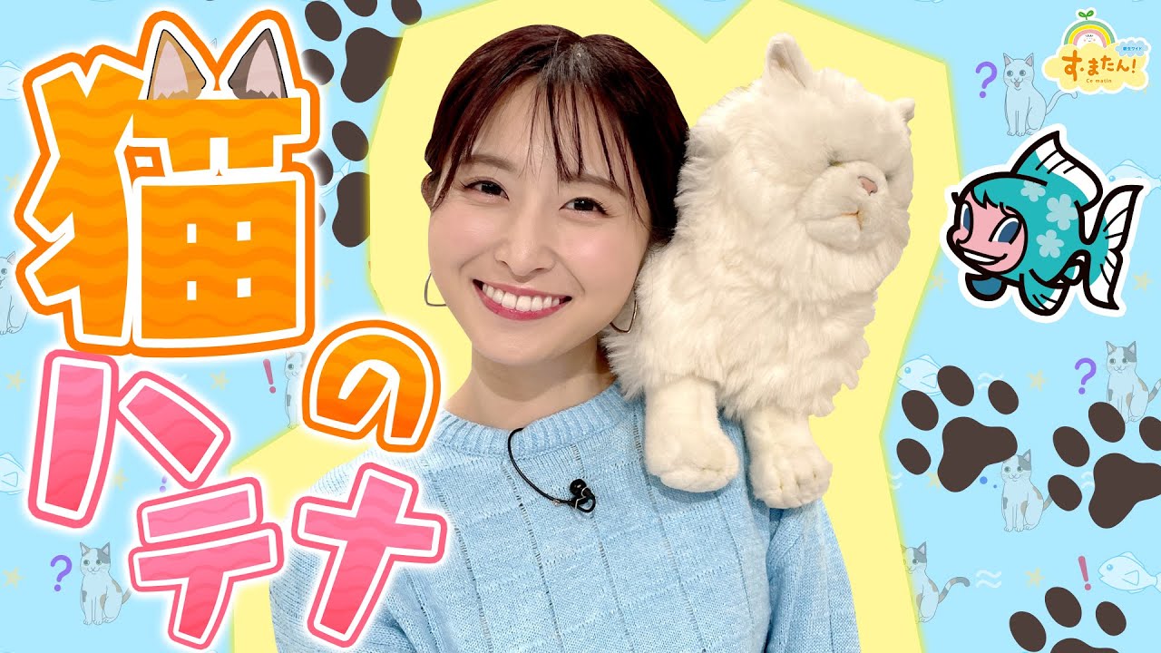 猫のハテナ～なぜ段ボールが好きなの～？／す・またん！