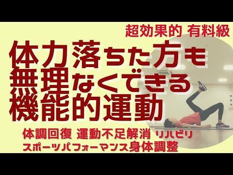 体調回復 運動不足解消 スポーツ愛好家の整体 しなやか引き締まる機能的エクササイズ