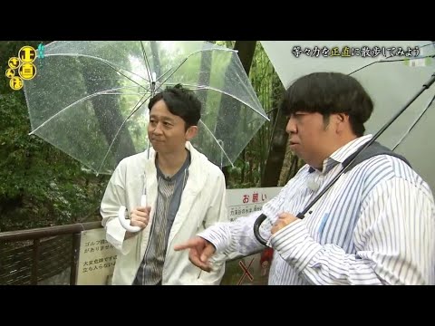 『有吉くんの正直さんぽ』 𒅒 🅷🅾🆃 ☂「等々力を正直に散歩してみよう」🏃‍♀️🏃‍♂️🏃‍♂️