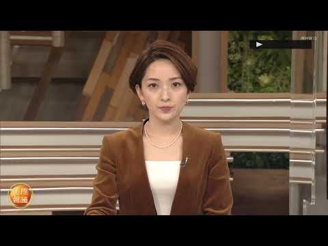 酒井美帆 NHK 国際報道2023 230130_2