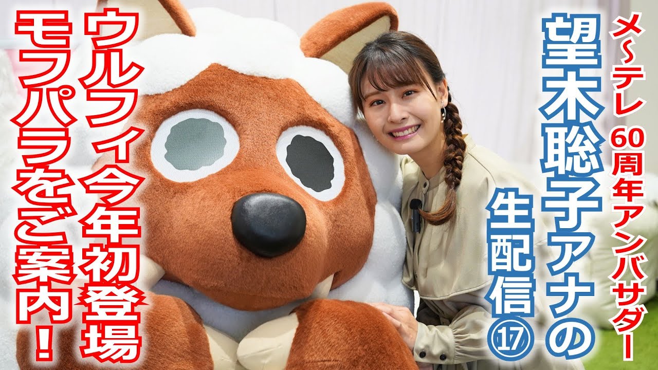 【60周年】メ～テレ60周年アンバサダー望木アナのライブ配信第17弾。今年初登場のウルフィがメ～テレ1F「モフモフパラダイス」をご案内！