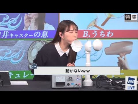 【白井ゆかり】【山口剛央】ゆかりん酸欠風速計。