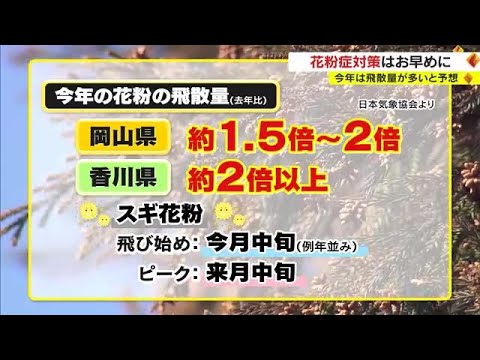 「花粉の飛散量」２倍以上に…　一体ナゼ？　まもなく飛散本格化　対策は？【岡山・香川】 (23/02/08 18:00)