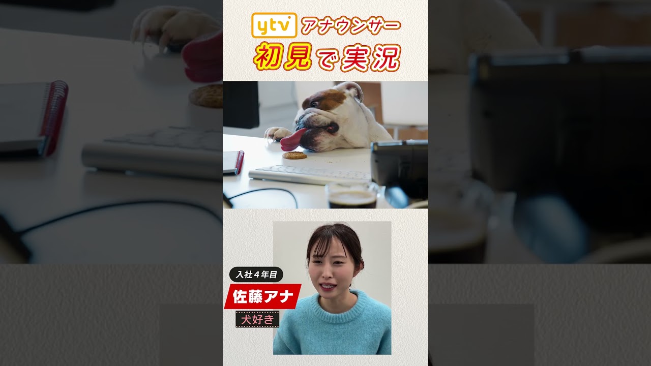 【佐藤アナ】可愛い動物の動きを初見で実況してみた。   #shorts