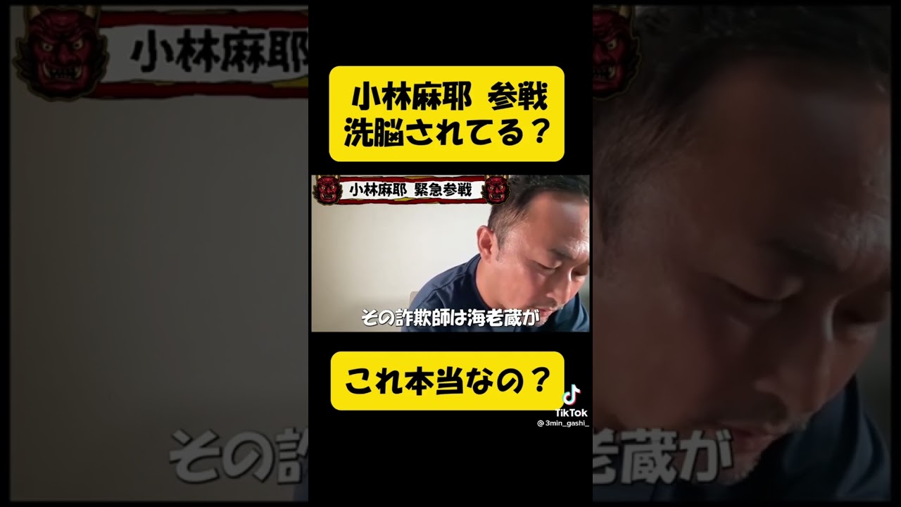 【ガーシー議員】小林麻耶からガーシーへのタレコミ【小林麻耶】