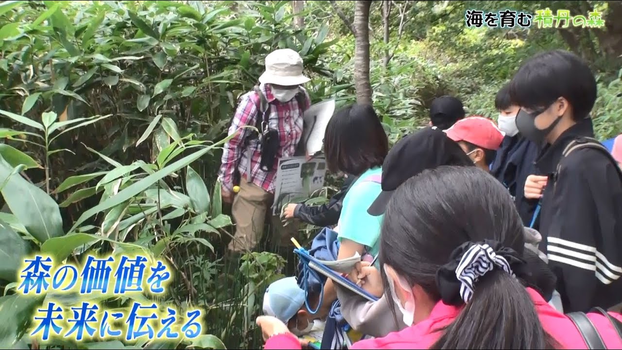 【どさんこワイドにちようび】「海を育む 積丹の森」 第1話