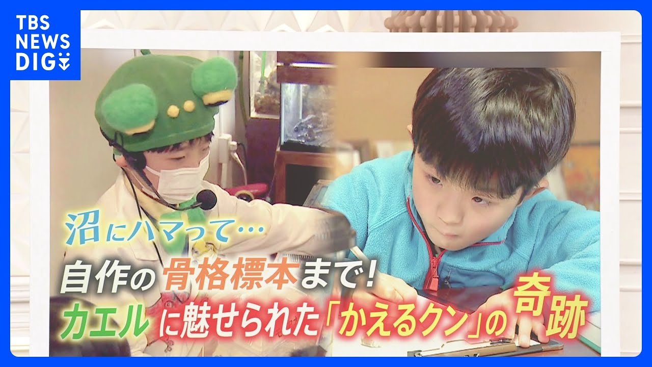 カエルに魅せられた小学生「かえるクン」　カエルへの情熱が生み出した奇跡　夢は「自分の水族館を建ててそこの学芸員になる」【ゲキ推しさん】｜TBS NEWS DIG