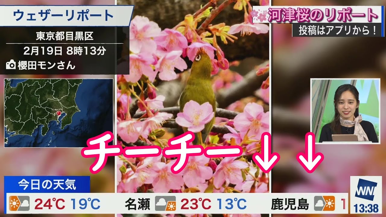 【内田侑希】メジロちゃん  CV:ゆっきー  2023-02-19