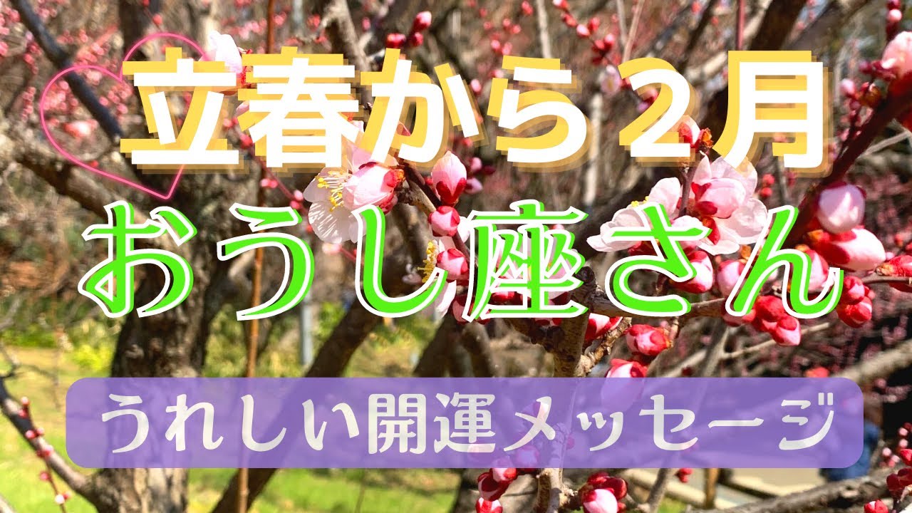 2023年本格スタートの立春🌸から2月❄️おうし座さん♉️すばらしい出会い🌟🍀とパワフルなリーダーシップを発揮する✨✨✨