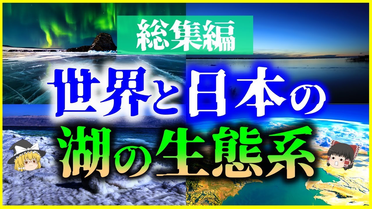 【ゆっくり解説】【総集編】世界と日本の「湖の生態系」6選を解説/琵琶湖、バイカル湖、死海、カスピ海、霞ヶ浦、ヴィクトリア湖【睡眠用】【作業用】