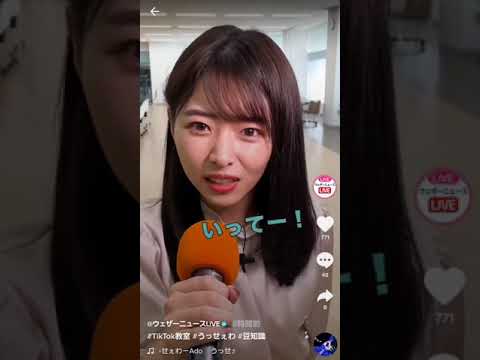 角田奈緒子　ウェザーニュース