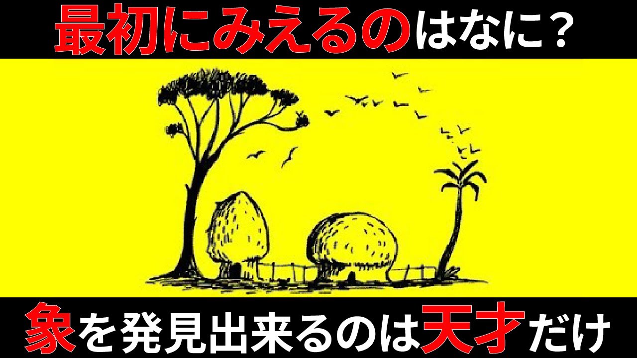 【ゆっくり解説】象が見えたら天才！錯覚診断クイズ！