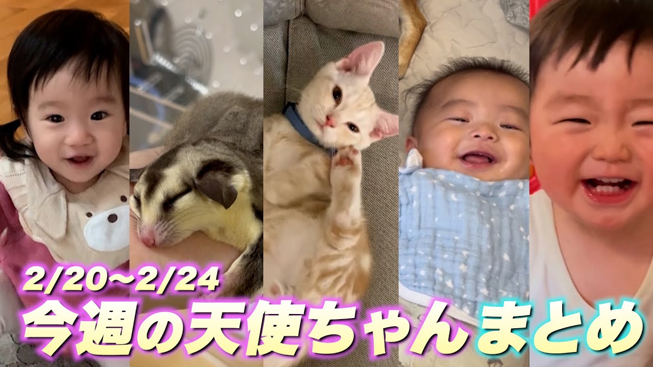 【THE TIME,まとめ】今週の天使ちゃん / 2023年2月20日〜24日放送