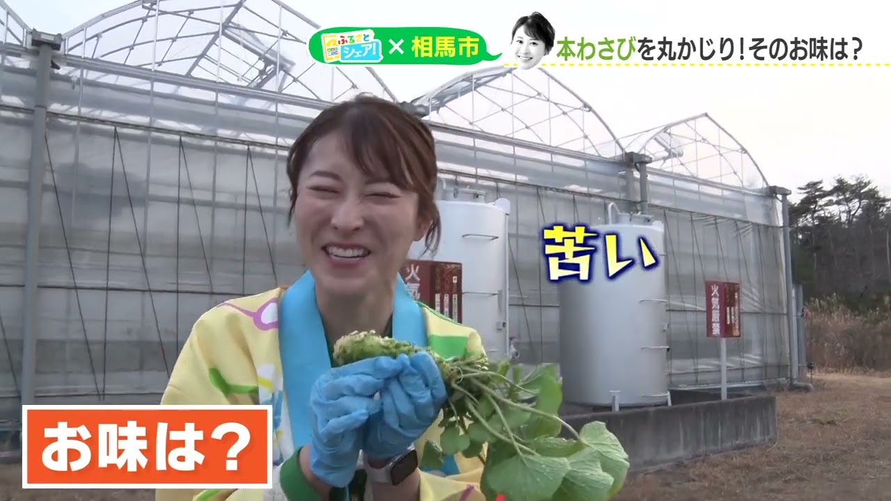 【シェア旅】#81　山崎アナ　採れたてワサビで絶品グルメ！？（2023/2/1）