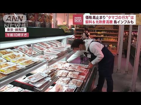 から揚げ店　値上げで悲鳴…価格高騰続く“とり肉＆タマゴ”(2023年2月22日)