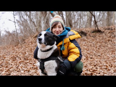 ＥａｒｔｈＷａｌｋｅｒ　第十二章　生き物たちの声を聴く 2月12日  FULL HD 4K