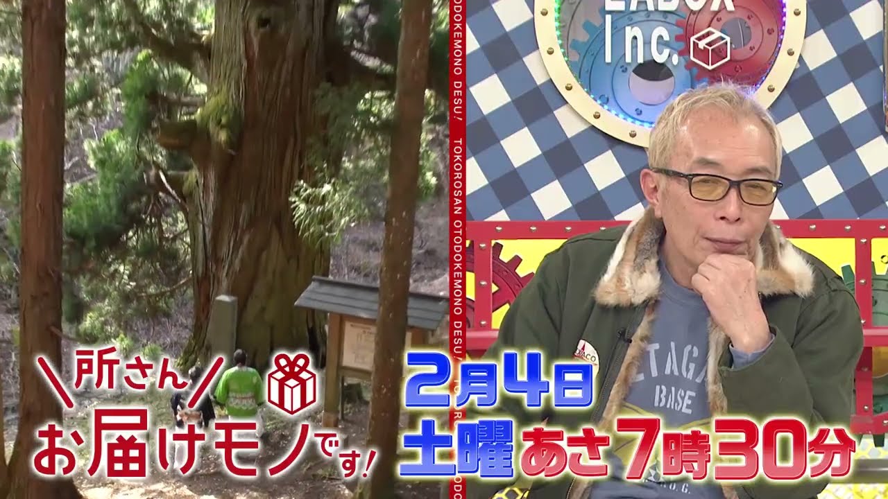 『所さんお届けモノです!』2/4(土)甲州街道 最大の難所にチャンカワイが挑戦!!【TBS】