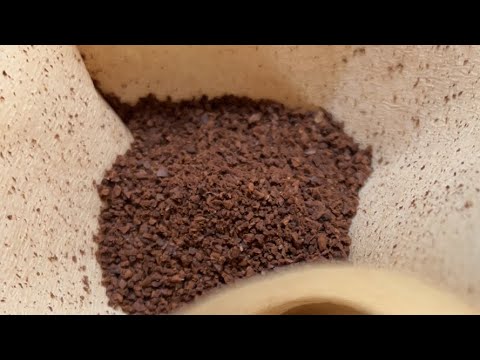 相内優香結婚でショックなコーヒー☕️モーニング