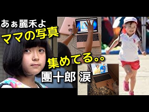 【市川團十郎白猿】麗禾よ、、思わず涙が･･･ママ小林麻央さんの写真を集めている娘麗禾さんの健気な姿に感動の涙、、