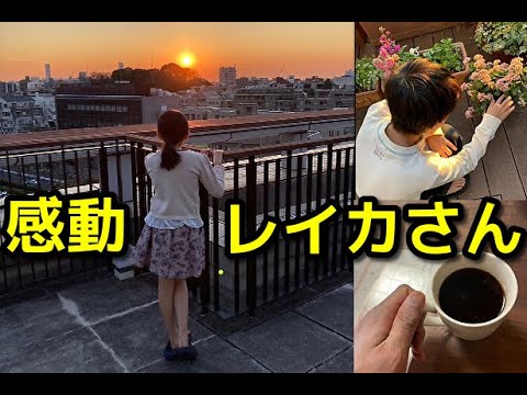 【市川團十郎白猿】市川麗禾さん夕陽を眺める後ろ姿に母 小林麻央さんの面影､､､感動！素晴らしい写真を公開致します。