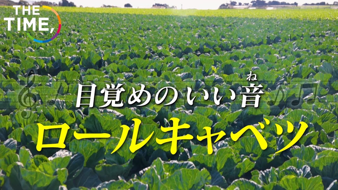 【THE TIME,】目覚めのいい音『ロールキャベツ』/ 2023.2.1放送