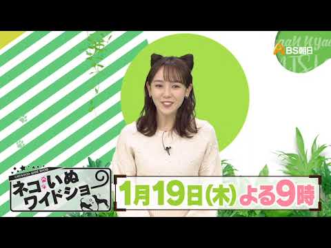ゲスト：つるの剛士【ネコいぬワイドショー】