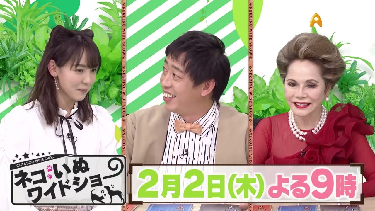 ゲスト：デヴィ夫人【ネコいぬワイドショー】