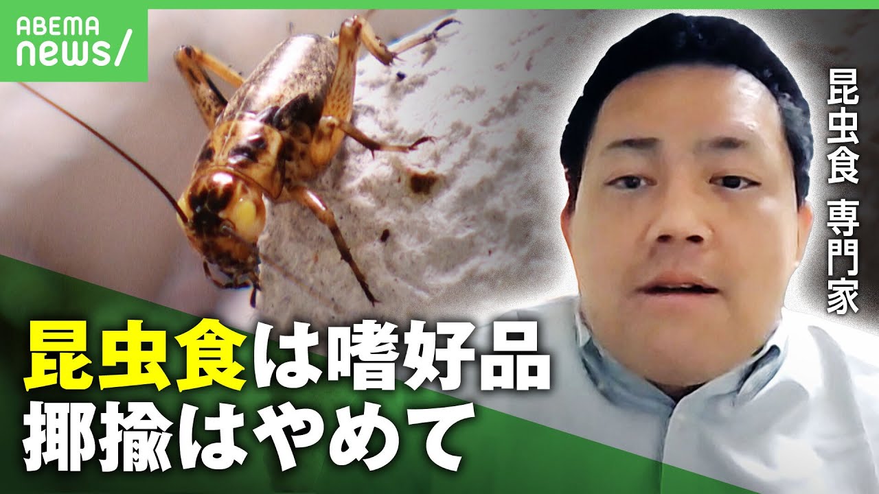 【抵抗感】約9割"避ける"昆虫食の未来は「あくまで嗜好品 食材の1つとして広がれば」｜アベヒル