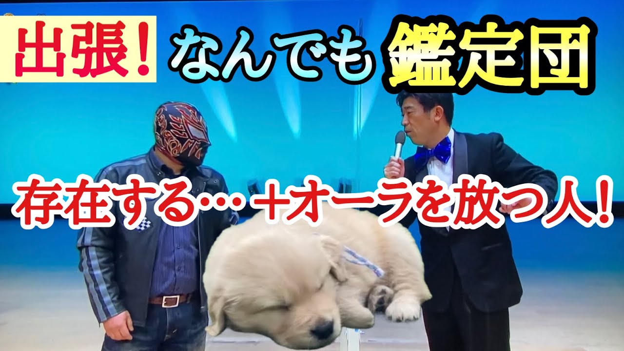 ＋オーラを放つ人間は本当に存在する‼︎。Dragon love・なんでも鑑定団！