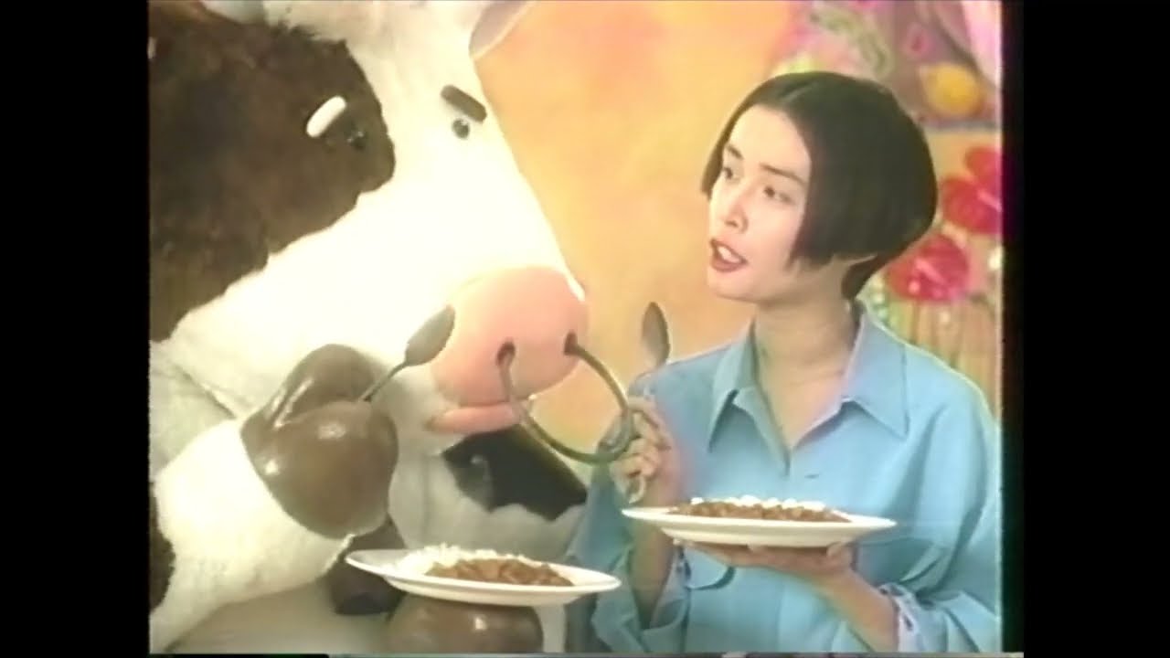 懐かCM　１９９３年　６月　ハウス食品　ジャワカレー　JAVA CURRY　中嶋朋子