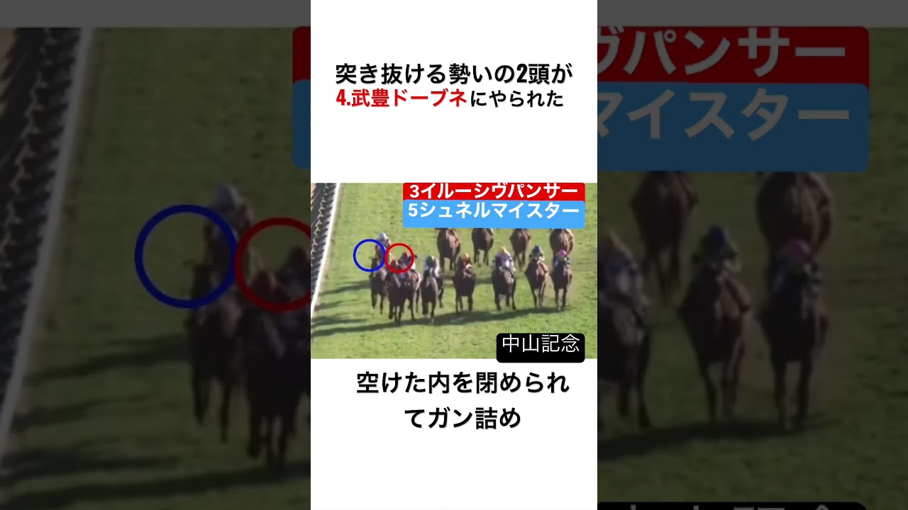 中山記念にてイルーシヴパンサーとシュネルマイスターの詰まり方がエグい。流石武豊！！