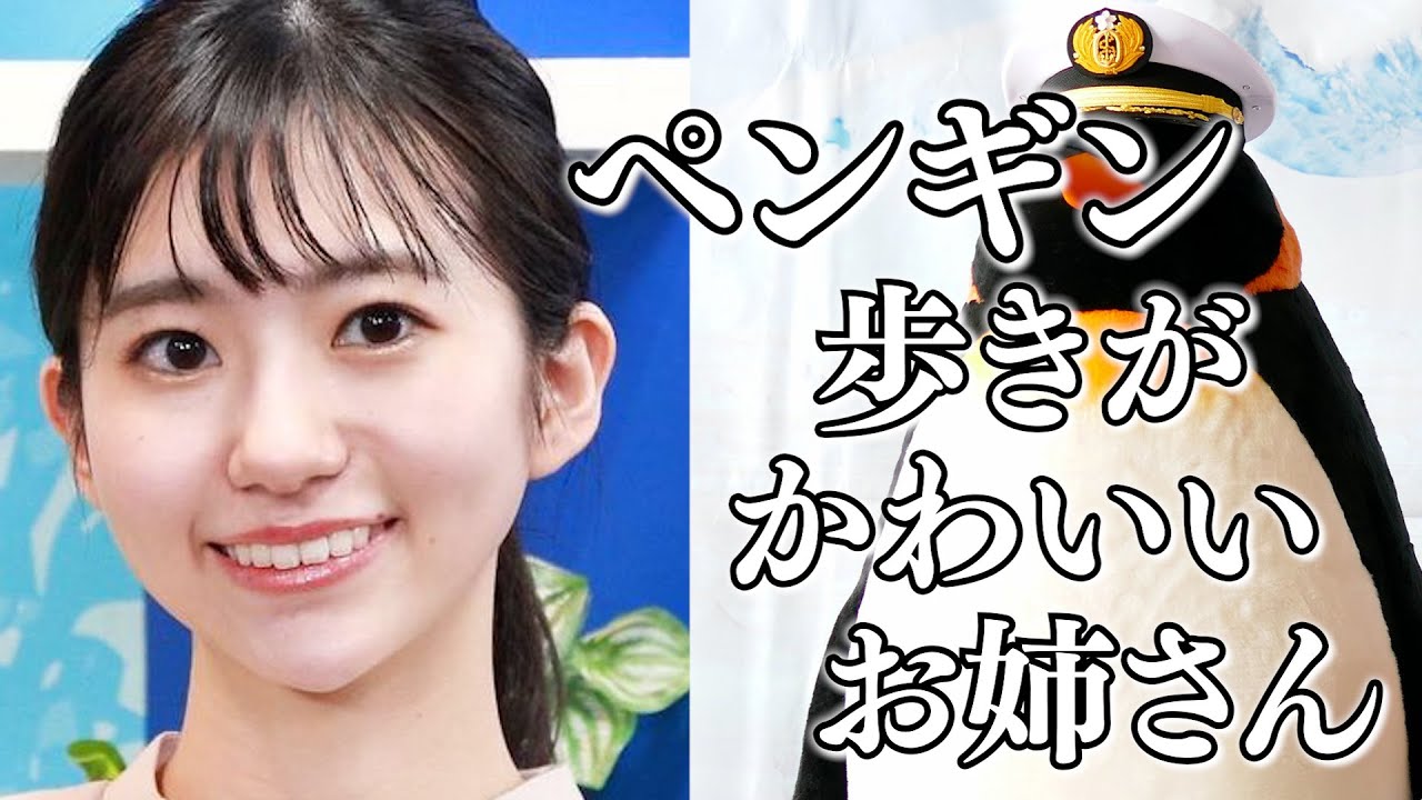 ペンギン歩きがかわいいお天気お姉さん【大島璃音×駒木結衣×戸北美月×角田奈緒子】 [ウェザーニュースLIVE]