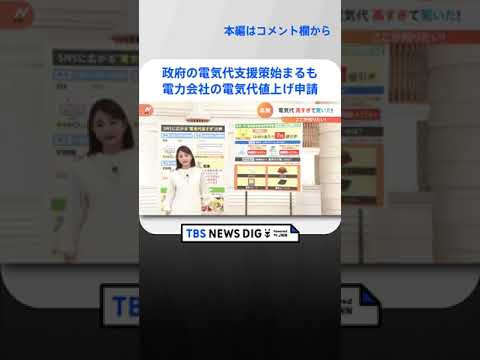 【解説】使用量3割↓電気代1.3万円↑…一体なぜ？　12月の電気代にSNSでは嘆きの声「ホットカーペットの上で寝るのやめる…」｜TBS NEWS DIG #shorts