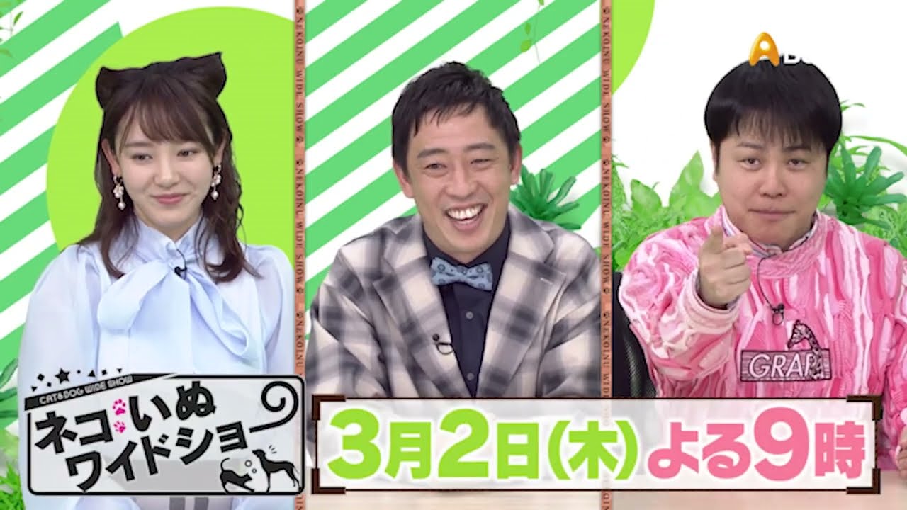 ゲスト：井上裕介（NON STYLE）【ネコいぬワイドショー】
