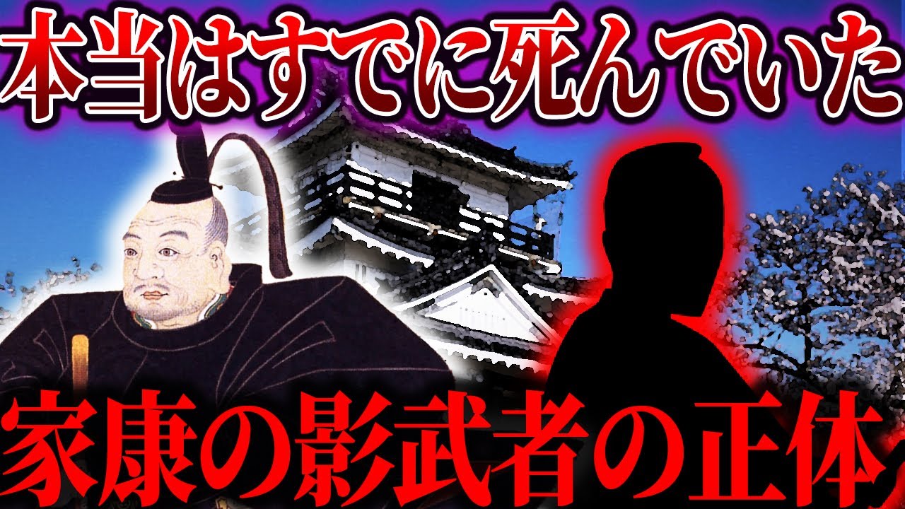 【ゆっくり解説】徳川家康は二人いた！？影武者説の謎！！