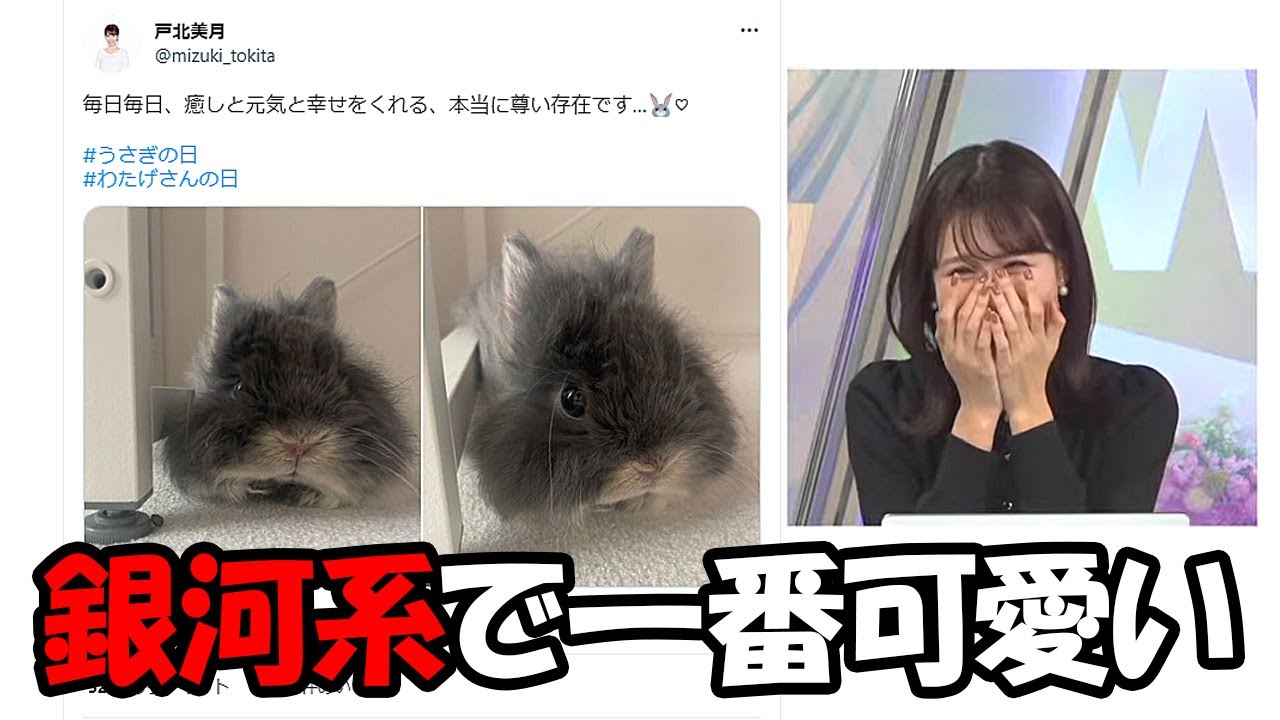 【戸北美月】わたげさんは写真よりも実物は6億倍可愛く銀河系で一番かわいいと言うお天気お姉さん