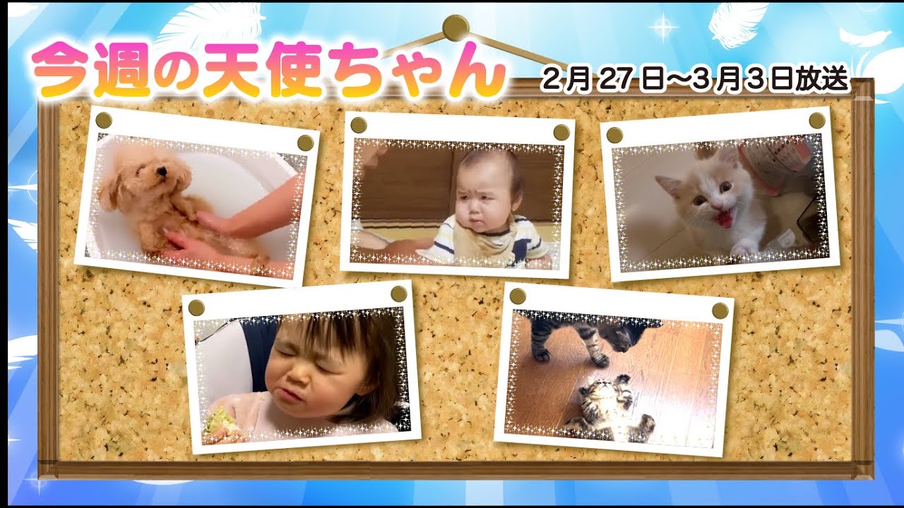 【THE TIME,まとめ】今週の天使ちゃん / 2023年2月27日〜3月3日放送