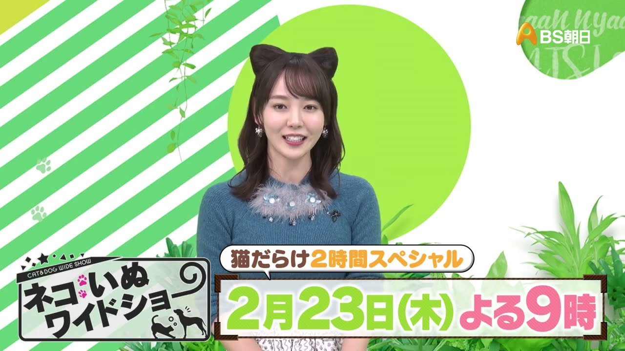 2時間SP　ゲスト：徳井義実（チュートリアル）、森泉【ネコいぬワイドショー】
