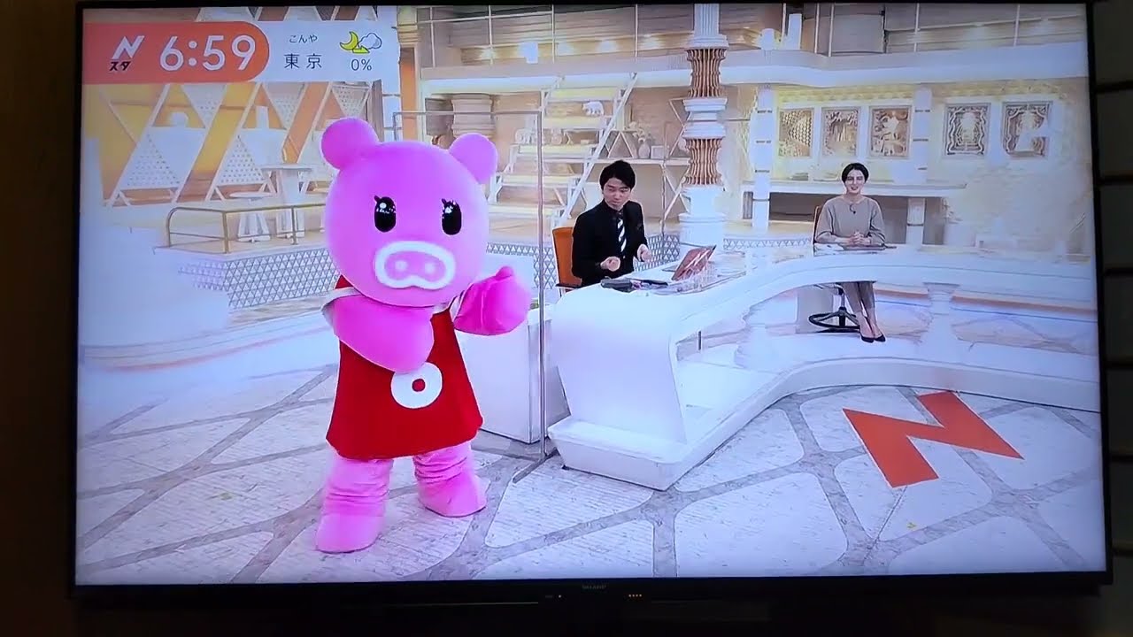 2023年2月9日㈭🐽🧦🤓