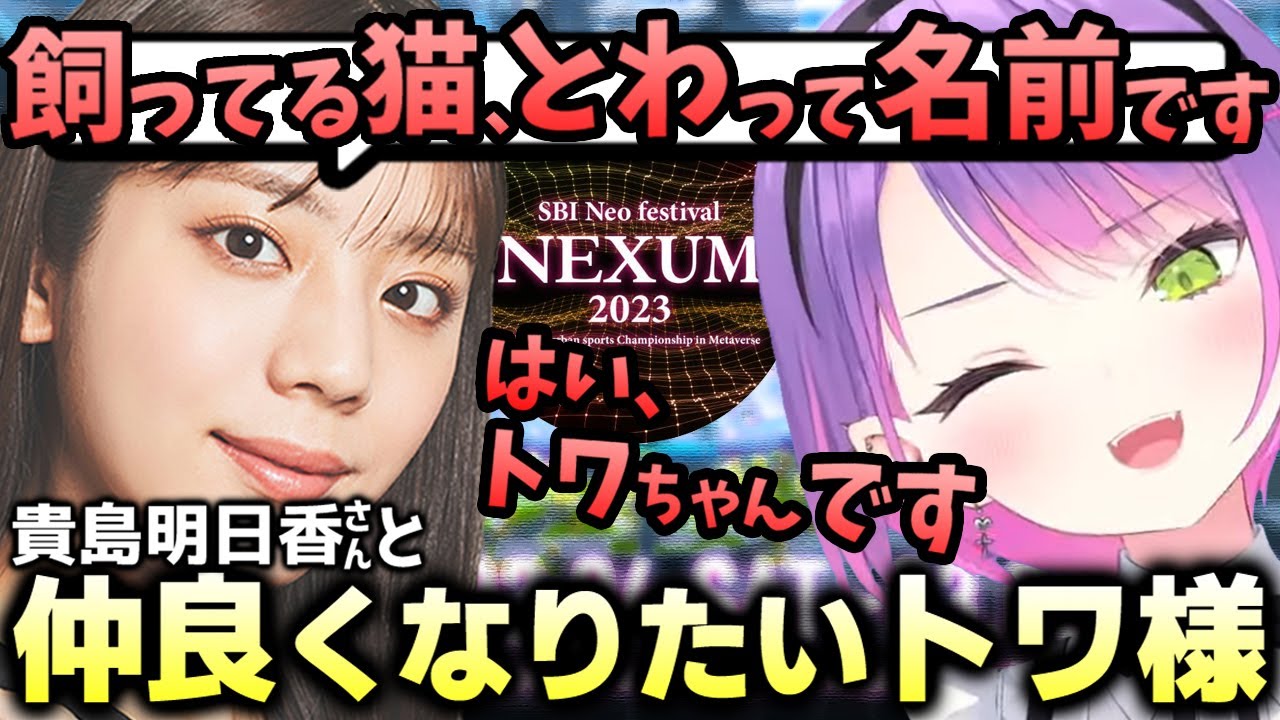 【切り抜き／常闇トワ】初めまして！？雰囲気○なカジュアル大会に向けた顔合わせ配信ダイジェスト【APEX／渋谷ハル／貴島明日香／SBI NEXUM】