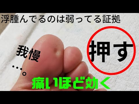 足つぼ、花粉症やボケに効く活性化の源